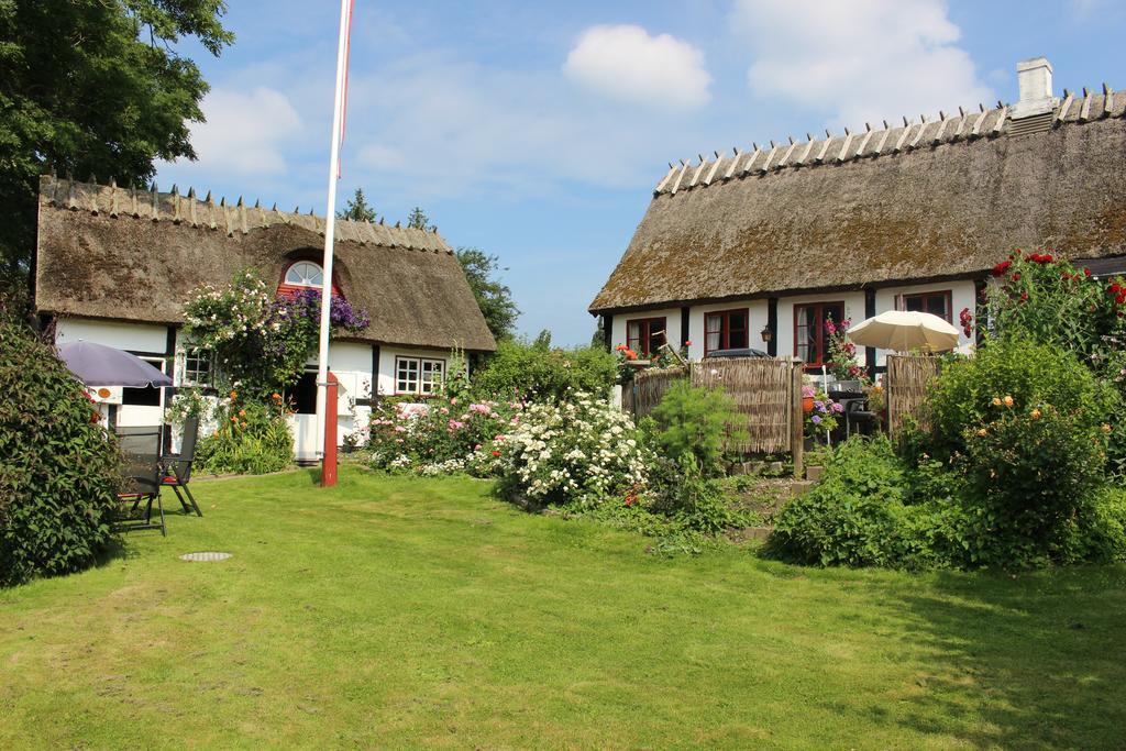 Travel Back In Time Guest House Nyord Exterior photo